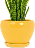 Deep Dream 8 Inch Plant Pots- Ceramic Pots for Plants with Drainage Hole and Saucer, Large Planter Pot for Indoor Plants Outdoor Decor, Yellow by DeepDream