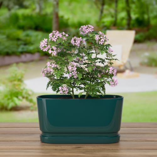 13" Rectangular Ceramic Planter with Drainage and Saucer, Green - Image 6