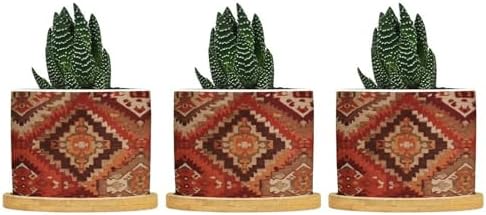 KilimTurkish Style Ceramic Planters Burnt Orange Color Ikat Snake Plant Live Indoor with Pot with Drainage Holes and Saucers Pot for Home Office Decoration by BRUYU5SE