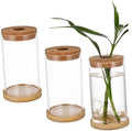 Glass Hydroponic Propagation Vase Planter for Green Radish and Plants with Tube, Design to Observe Water Levels, for Office and Home Decor by GRIRIW