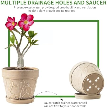 Indoor Plant Pots and Succulent Tools - Image 4