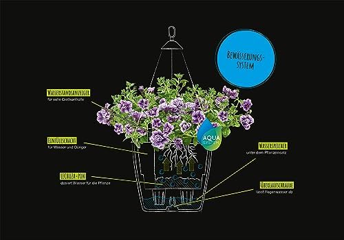 Lechuza 15303 Nido Cottage 35 Self-Watering Planter for Indoor and Outdoor Use, 13.5" x 9", Graphite Black, Wicker Finish - Image 5