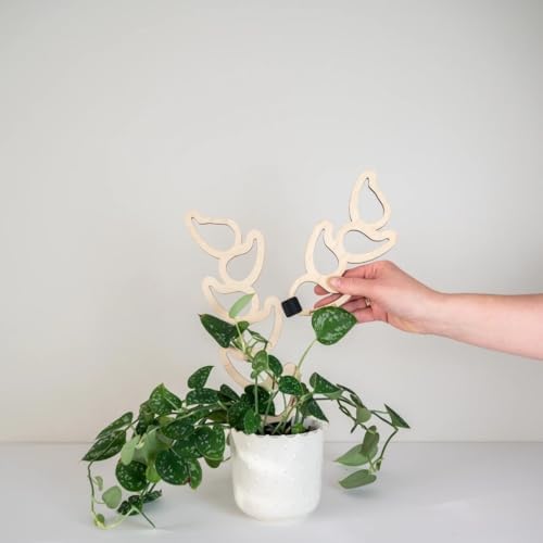 Treleaf Kora Extendable Wooden Plant Trellis Extension Kit (2 Extensions) – Modular Plant Support Add-On for Climbing Houseplants, Moss Pole Alternative for Monstera & Indoor Plants - Image 5
