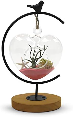 WGV Glass Hanging Plant Terrarium Bulk, Width 5", Height 5", Heart Valentine DIY Succulent Air Planter Clear Tea Light Votive Candle Holder for Event Home Garden Outdoor Decor, 6 Pieces - Image 3