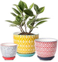 Selamica Ceramic Plant Pots, Indoor Flower Pots for Indoor Plants, 3.5+4.6+5.5 Planters with Drainage Hole & Saucer, Set of 3, Home Decor, Assorted Colors by Selamica