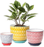 Selamica Ceramic Plant Pots, Indoor Flower Pots for Indoor Plants, 3.5+4.6+5.5 Planters with Drainage Hole & Saucer, Set of 3, Home Decor, Assorted Colors by Selamica