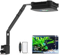 Lominie Aquarium Plant Light 26W Freshwater LED Aquarium Light Full Spectrum with Remote Control for Refugium Shrimp Tropical Fish Tank by Lominie
