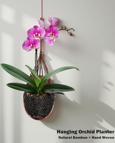 Hanging Orchid Planter: 4 Inch Handmade Bamboo Flower Basket -5Pcs - Image 2