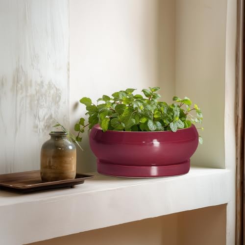 Succulent Pots - 8 Inch Bonsai Pots for Indoor Outdoor, Shallow Ceramic Planter with Drainage Hole and Saucer, Round Flower Succulent Planters, Apartment Decor, Gardening Gift, Wine Red - Image 6