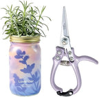 Modern Sprout Hydroponic Grow + Harvest Bundle by ModernSprout