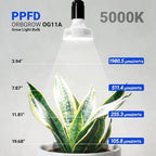 Barrina Orbgrow OG11A2 Clip On Grow Light for Indoor Plants, 5000K 22W - Image 5