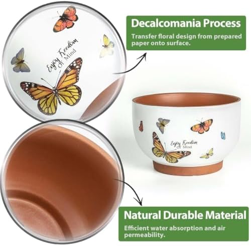 Terracotta Pots, 8+6 Inch Plant Pots, 2 Pcs with Drainage Holes - Image 5