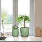 Ceramic Pots for Plants, 8+6 inch Plant Pots with Drainages Holes & Saucers - Image 7