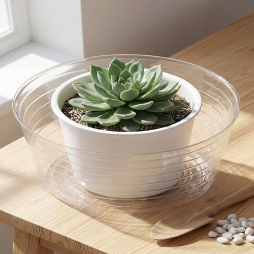 Hoolerry 15 Pcs Plastic Plant Saucer Clear Deep Tray, 14 Inch - Image 4