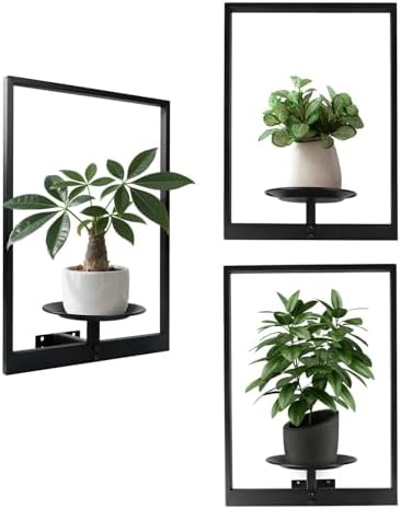 Plant Wall Shelf, Metal Modern Style Frame, Picture Wall Plant Holder, Plant Frames for Living Space Decor Display Stand for Living Room Balcony Garden Patio (3 PACK(BLACK )) by SUNLITOPTO