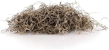 Gardenera Premium Natural Spanish Moss | Natural Preserved - Great Ground Cover - Filler for Potted Plants - 4 Quart Bag - Image 4