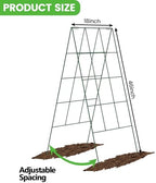 Foldable Cucumber Trellis - 4 Pack - Image 3
