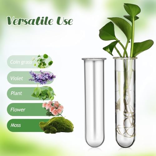 4pcs Plant Propagation Tubes Glass Test Tube Vase Replacement Clear Hydroponic Flower Vase for Home Office Wall Decor Desktop Decorations (Without Stand) (11.00X3.50X2.80CM) - Image 7