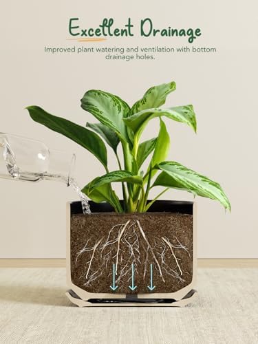 LE TAUCI Ceramic Plant Pots, Set of 2, 8+10 Inch, Black - Image 4