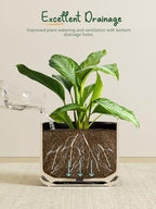 LE TAUCI Ceramic Plant Pots, Set of 2, 8+10 Inch, Black - Image 4