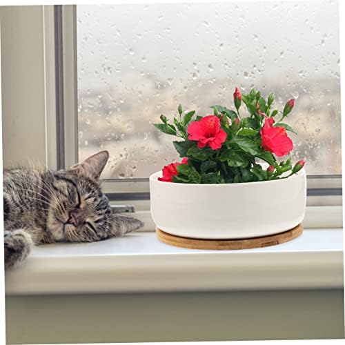 White Ceramic Succulent Pot with Tray and Bamboo Holder for Small Plants - Image 3