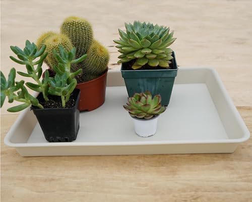 VUWEZ 2 Pack Plant Growing Nursery 1020 Trays, Plant Saucer Tray, Heavy Sturdy Seed Starting Trays, Plant Starter Trays for Indoors No Holes, Seed Starter Growing Tray (22"x11.2", Beige) - Image 4