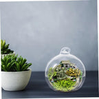 12pcs Hanging Glass Terrarium Globe Micro Landscape Air Plant Holder for Indoor Decoration Hydroponic Planter for Succulents and Home - Image 5