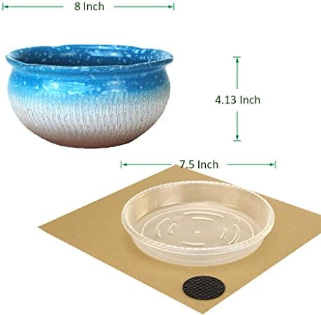 8 Inch Succulent Pot with Drainage and Saucer Glazed Terracotta Round Ceramic Succulent Planter Cactus Bonsai Plant Pot (Light Blue) - Image 7
