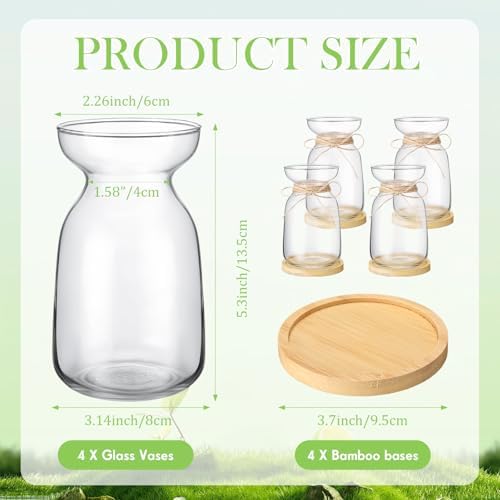 FoldTier 4 Sets Hyacinth Glass Vase with Bamboo Coaster Rope Hyacinth Avocado Growing Bud Vase Decorative Glass Flower Vases for Centerpieces Bulb Forcing Plant Containers Home Office Table Decoration - Image 2