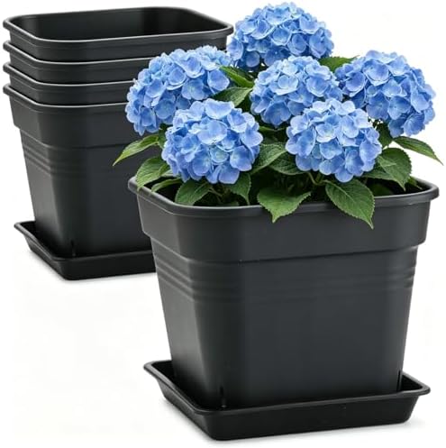 10 Inch Square Planters with Saucers 5 Pack,Heavy Duty Black Plant Pots by BTPLASTIK