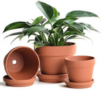 INGOFIN Terracotta Pots Set with Saucer - 5/6/7 inch Ceramic Clay Planters with Drainage Hole, Garden Flower Succulent Pots with Tray for Indoor Outdoor Plants, Set of 3 by INGOFIN