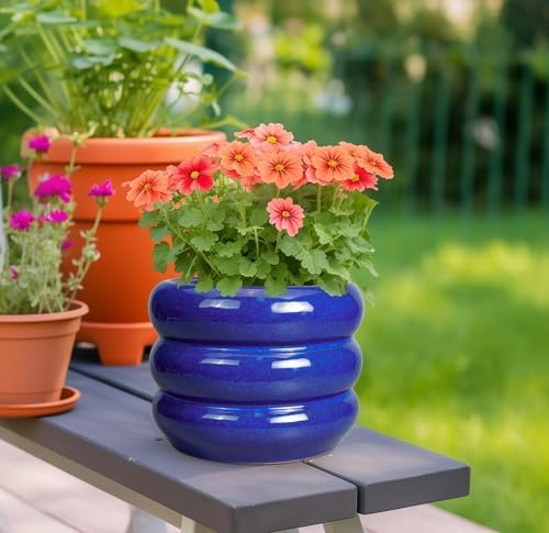 SQOWL 8 Inch Plant Pot - Ceramic Planter Indoor Plant Pot with Drainage Hole Outdoor Flower Pot Round Decorative Plant Pots for Kitchen Counter Desk Decor Blue - Image 2