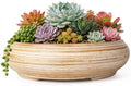Succulent Pots, 11.5 Inch Large Plant Pots with Drainage, Bonsai Pots by ARTKETTY