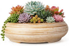 Succulent Pots, 11.5 Inch Large Plant Pots with Drainage, Bonsai Pots by ARTKETTY