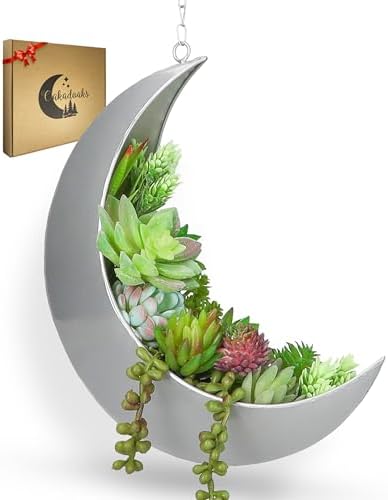 Hanging Moon Planter for Moon Room Decor - Great for Succulents, Air Plant, Mini Cactus, Faux, Artificial Plants-Boho Hanging Planters for Indoor Plants, Witchy Gifts for Women, Birthdays,Plant Lovers by Oakadoaks