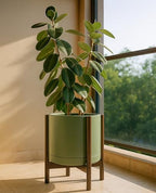 D'vine Dev Ceramic Pot with Walnut Wood Stand, Olive, 14 in, 55-B-T-J - Image 4