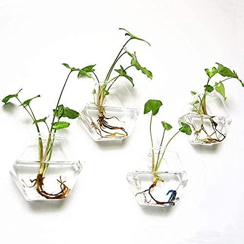 Kingbuy Wall Hanging Planter Glass Propagation Terrarium 3 Hexagon Shape and 4 Egg Shape Flower Vase for Home Office Christmas Decor - Image 5
