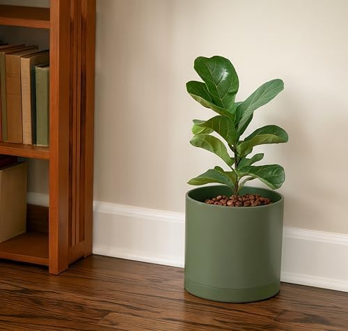D'vine Dev 3-Pack Plastic Pots & Saucers, 6.5/8/10 in, Olive, 74-V-I-4 - Image 7