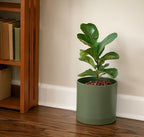 D'vine Dev 3-Pack Plastic Pots & Saucers, 6.5/8/10 in, Olive, 74-V-I-4 - Image 7