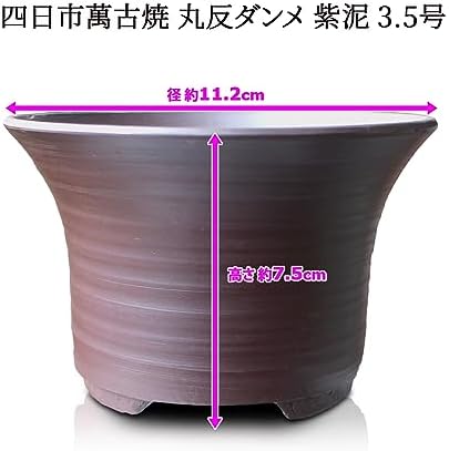 Bonsai Pot Round Striped Pattern Shi-dei (Purple mud) Yokkaichi Banko-Yaki deep Type Ceramic Wildflowers houseplants Agave Baby Bonsai Cactus Miscellaneous Pine and Oak 4.4” Small - Image 2