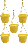Hanging Flower Pots Yellow 5 Pack by AustinPlanter