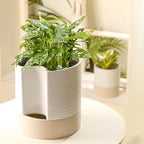 Nihow Ceramic Self Watering Plant Pot for Indoor Plants, 8 Inch,White - Image 6