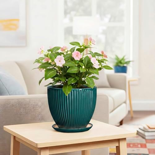 Ceramic Planter, 8 Inch Plant Pots with Saucer, Blackish Green - Image 6