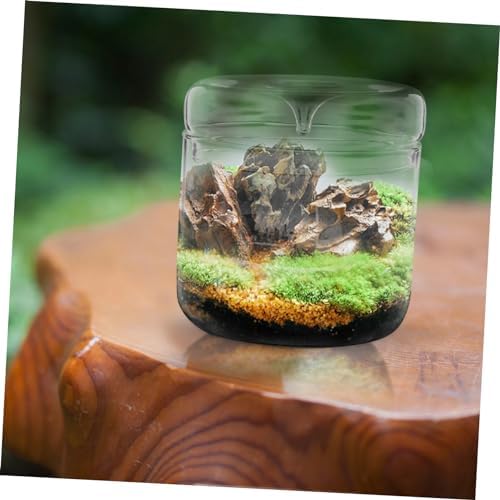 Micro Landscape Planter Bottle Terrarium Glass Display Container Xmas - Image 5