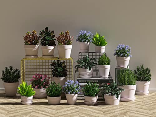 Fcacti 5.5 Inch Pink Clay Pot for Plant with Saucer - 6 Pack Large Terra Cotta Plant Pot with Drainage Hole, Flower Pot with Tray, Terracotta Pot for Indoor Outdoor Plant - Image 5