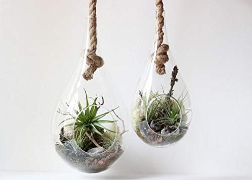 WGV Hanging Planter Terrarium, Width 7.5", Height 15", DIY Clear Glass Succulents Air Teardrop Floral Container (Including Rope), Candle Holder Vase for Outdoor Indoor Decor, 1 Piece - Image 6