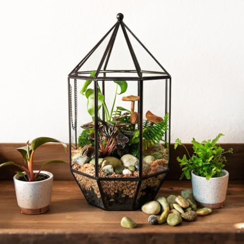 SuperMoss (90405) Glass Terrarium – Elegant Indoor Gardening Décor, Ideal Gifts for Plant Lovers, Modern Home & Office Decoration, 7.5” x 7.5” x 14”, Greenhouse by SuperMoss