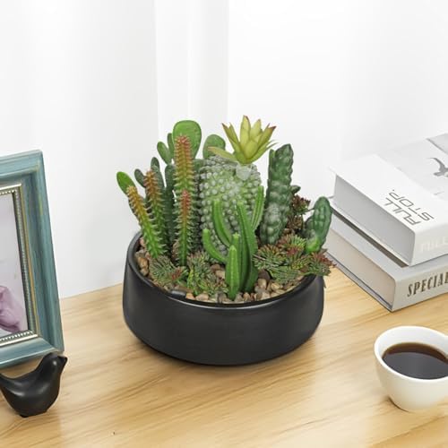 DILATATA Artificial Cactus Plants in Pot 5.5 Inch Fake Succulents Arrangement Potted Plant in Black Ceramic Planter Bowl for Home Office Desk Shelf Living Room Bedroom Bathroom Decor - Image 5