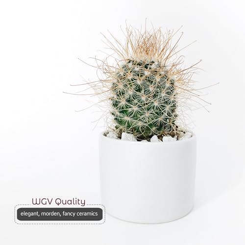 WGVI Matte White Ceramic Cylinder Vase Width 6.5" Height 6", Flower Arrangements, Candle Holder, Terrarium Planter Pot, Storage Container Organizer, Pen Brush Holder, Modern Table top Decor, 6 Pc - Image 6