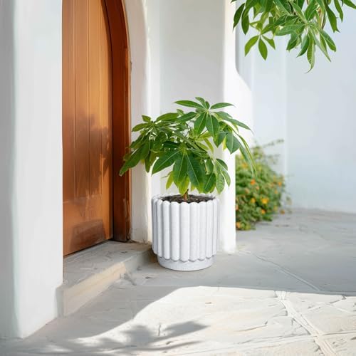 Ceramicfor Ceramic Plant Pot, 9.6 Inch, White - Image 6